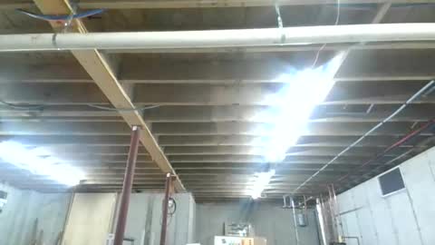 steved6001 online show from November 26, 5:53 pm