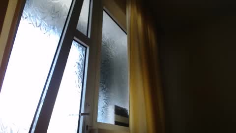 Steven online show from October 25, 1:44 pm