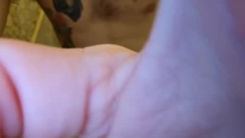 stevengrove online show from March 3, 11:06 am