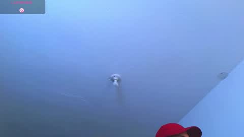 Stiven Montiel online show from September 18, 2:10 pm