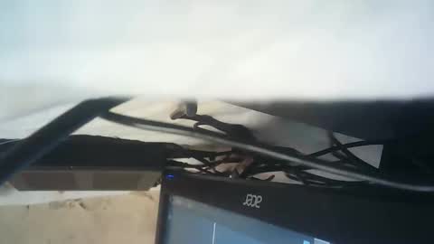 strangerdanger_2 online show from January 9, 11:38 am