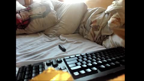 strawboy300 online show from January 17, 7:38 pm