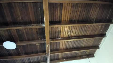 Alexa   online show from April 8, 11:02 am