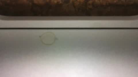 stunnerfun online show from November 27, 1:19 pm