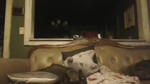 sub_michael41 online show from November 7, 5:32 am