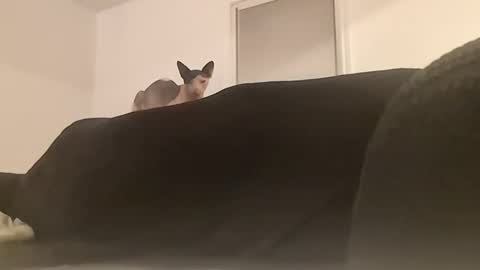 Snapshot of sugarbaby69969 chatting on September 22, 2:15 am sugarbaby69969 online show from September 22, 2:15 am