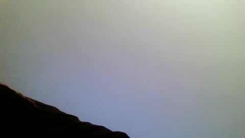 alpha online show from November 14, 10:55 pm