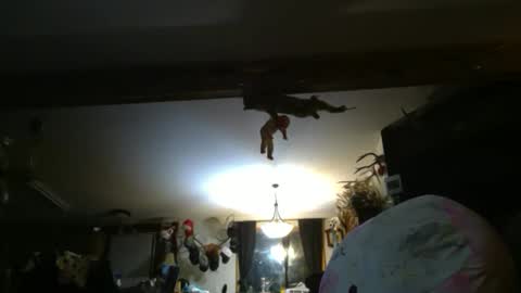 Sugarbush696 online show from January 7, 6:07 am