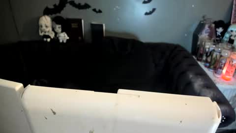 Sugary online show from February 9, 3:48 pm