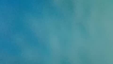 Annie online show from November 8, 6:33 pm