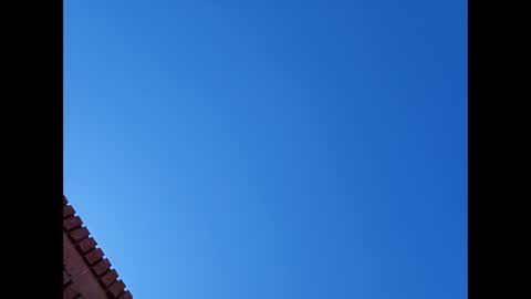 Snapshot of suntroll chatting on January 6, 7:13 pm Suntroll online show from January 6, 7:13 pm