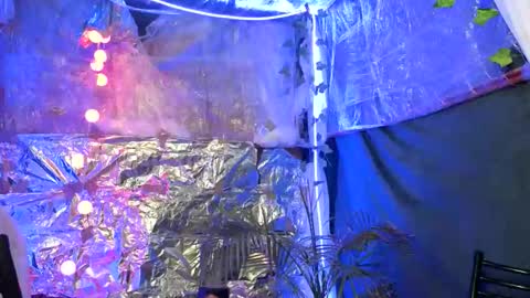 super jony and Marta GMT 1300-1800 every day online show from October 17, 4:11 pm