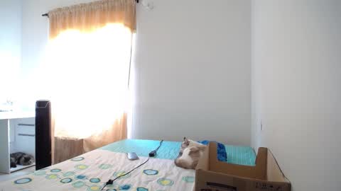 Susana online show from February 9, 6:37 pm