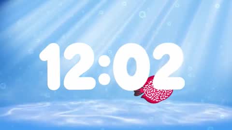 Susan online show from November 21, 4:43 am