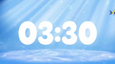 Susan online show from November 26, 3:59 am