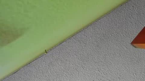 Sussan online show from December 16, 2:01 pm