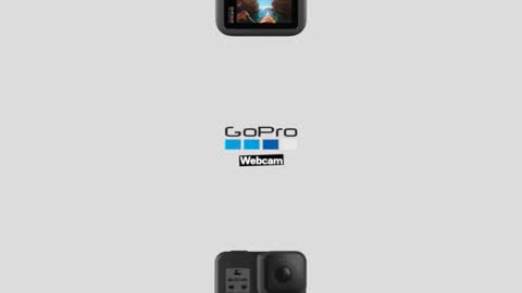 swamp486822 online show from November 12, 4:42 pm