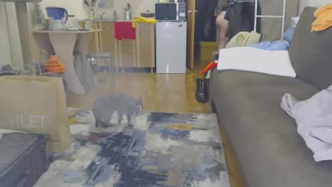 TexasPAWG101 online show from January 19, 1:59 am