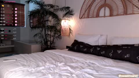 Dana online show from February 1, 3:19 am