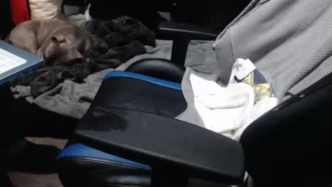 sweetgesus online show from November 6, 3:59 pm