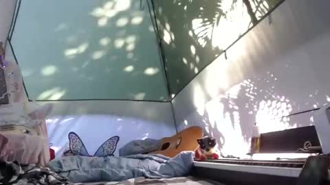 April online show from November 21, 4:16 pm