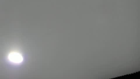 Sweet Annie online show from April 21, 12:01 pm