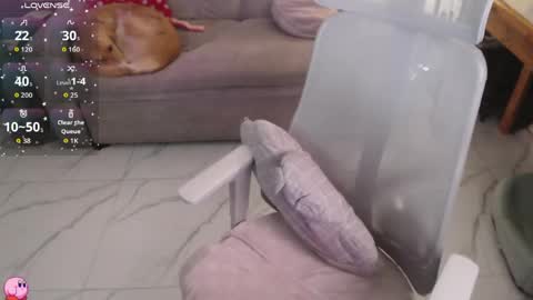 Pau online show from April 25, 12:24 am