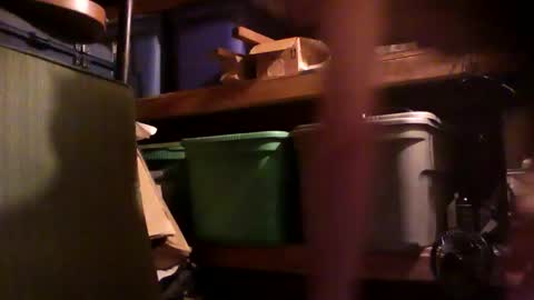 syevecrl online show from December 14, 1:06 pm