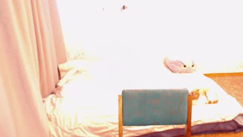 Snapshot of syrendixon chatting on October 28, 9:10 am SyrenDixon online show from October 28, 9:10 am