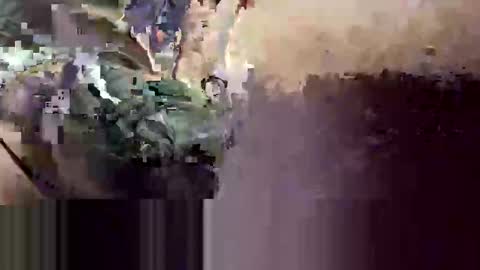 tailorfitted online show from November 11, 12:29 pm