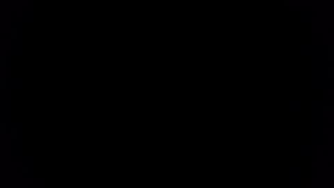 Lily online show from December 14, 8:04 pm