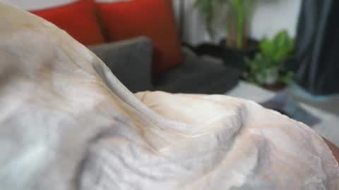 Snapshot of tasty_tomato chatting on February 21, 8:40 am RHEA  pronanciation like Reya   online show from February 21, 8:40 am