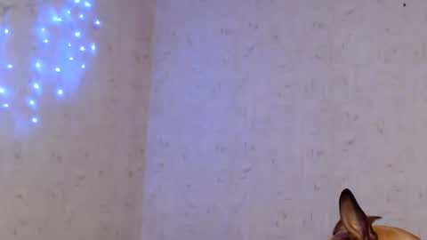 Taya online show from January 9, 9:09 pm