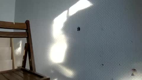 tec0vas online show from December 30, 8:25 pm