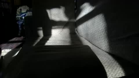 tec0vas online show from November 30, 7:54 pm