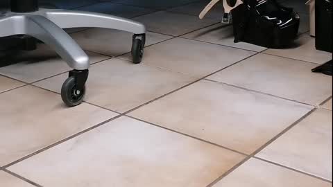 teninchheels online show from December 1, 7:38 pm