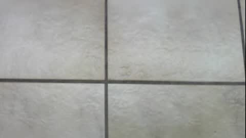 teninchheels online show from December 22, 1:00 pm