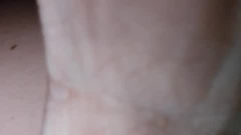 teslaxplaid online show from December 14, 2:55 am