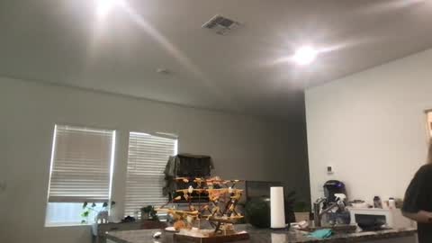 Daphne Summers online show from March 12, 1:26 pm