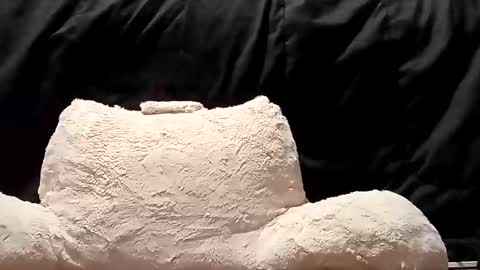 thatb1 online show from January 17, 1:37 am