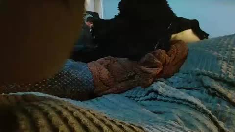 GIORGGIO online show from April 10, 12:38 am