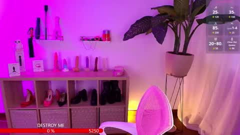 i am Cat  online show from November 7, 6:43 pm