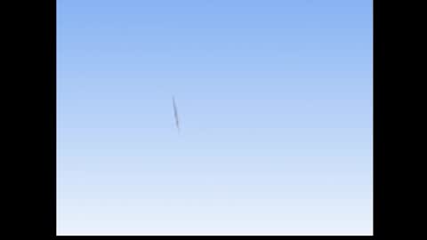 The Bear King online show from January 13, 3:36 am