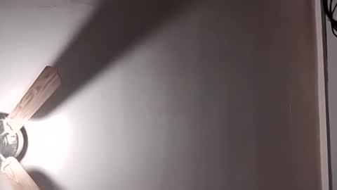thedailyshower online show from August 4, 4:41 am