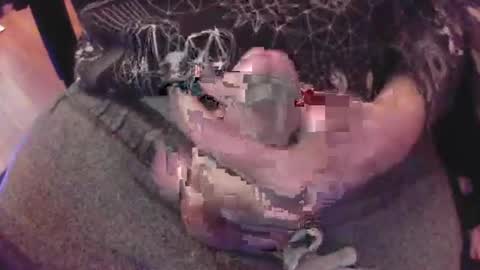 The Fox  The Cat online show from January 8, 6:31 pm