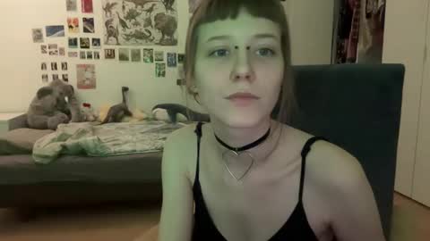 Snapshot of thesearchofgod chatting on December 29, 12:41 am LISA                                            online show from December 29, 12:41 am