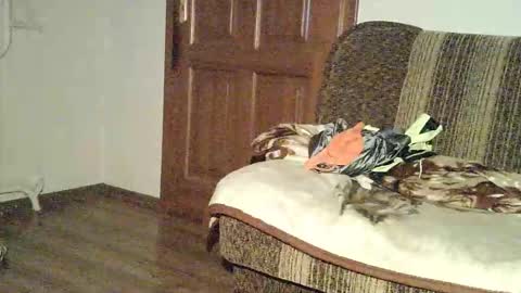 Thongsandstocking online show from November 16, 9:17 pm