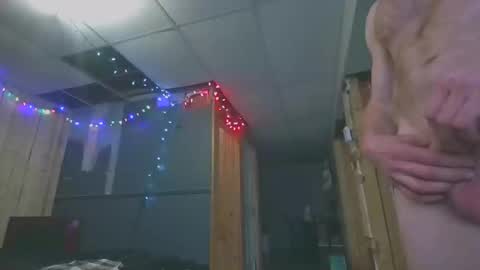 Tigars36 online show from December 28, 4:30 am