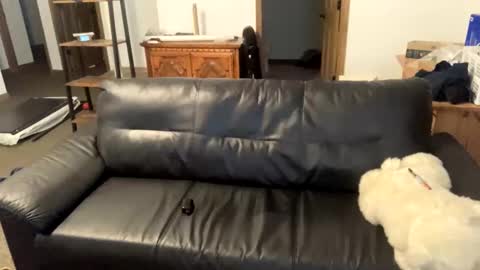 tjfemboi5641 online show from November 4, 1:34 pm