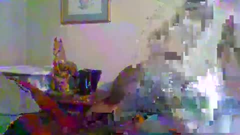 Vols online show from November 23, 2:09 am